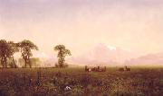 Albert Bierstadt Elk Grazing in the Wind River Country oil